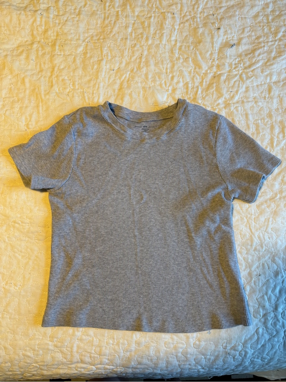 Brandy Melville Gray Ribbed Baby T one size fits most